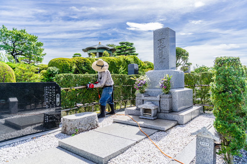 植木の手入れ